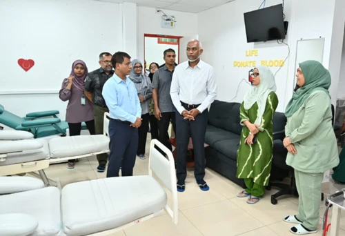 ބަނޑުގައިވާ ދަރިފުޅަކީ ތެލަސީމިއާ ކުއްޖެއްކަން ދެނެގަތުމަށް ޓެސްޓު ހެދުން ލާޒިމުކުރާ އިސްލާހެއް ހުށަހަޅައިފި